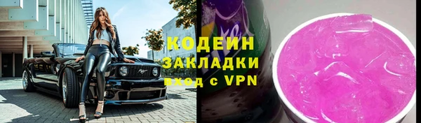 гашик Карпинск
