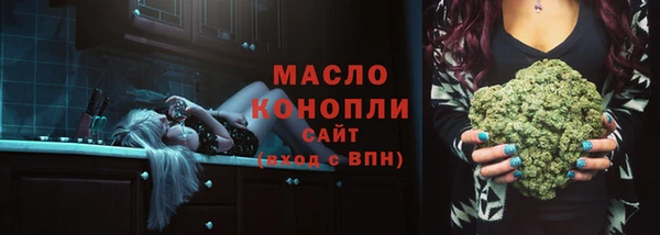 гашик Карпинск