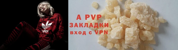 гашик Карпинск
